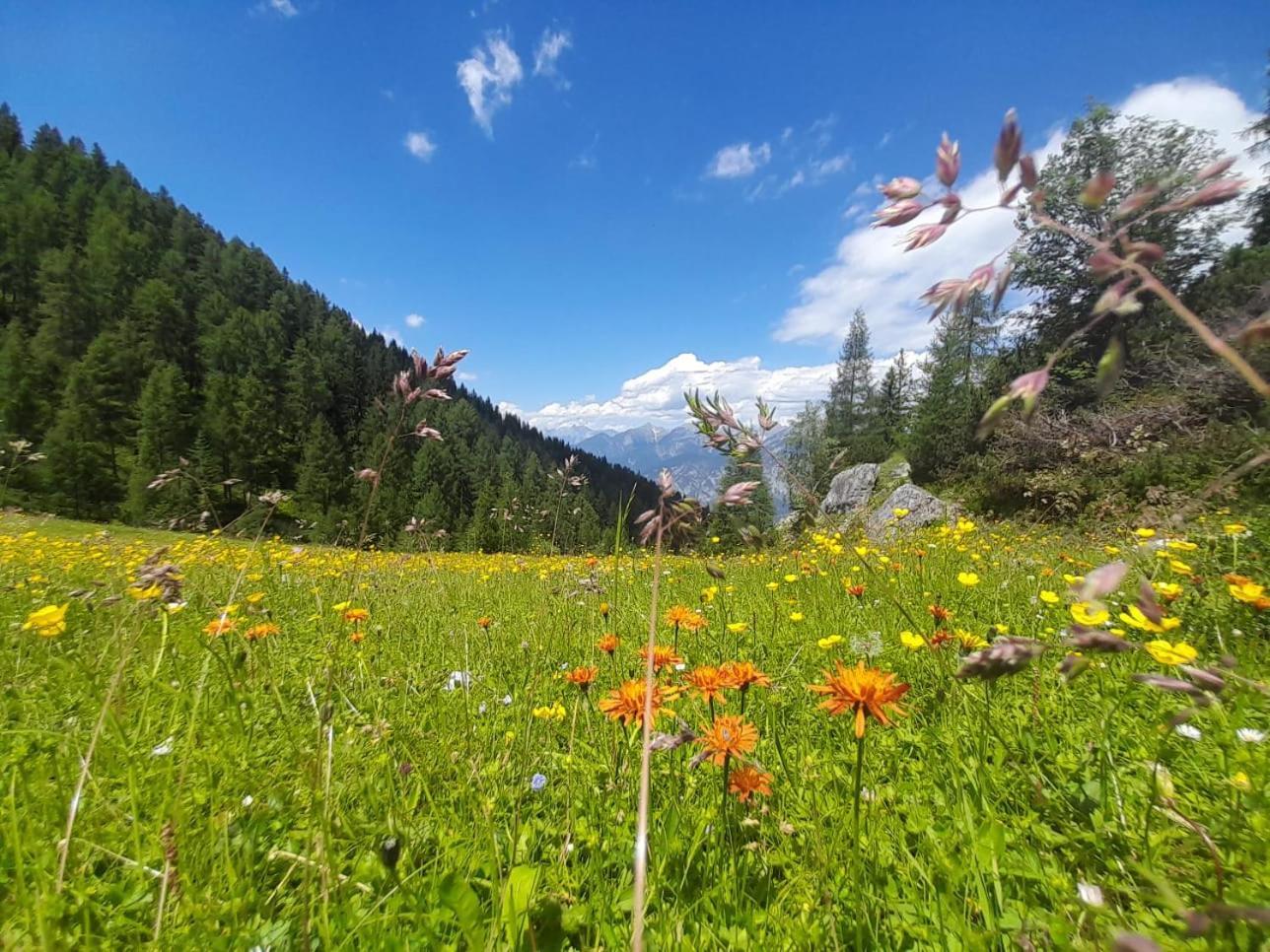 Ferienwohnung Goetzner Auszeit Innsbruck Exteriör bild