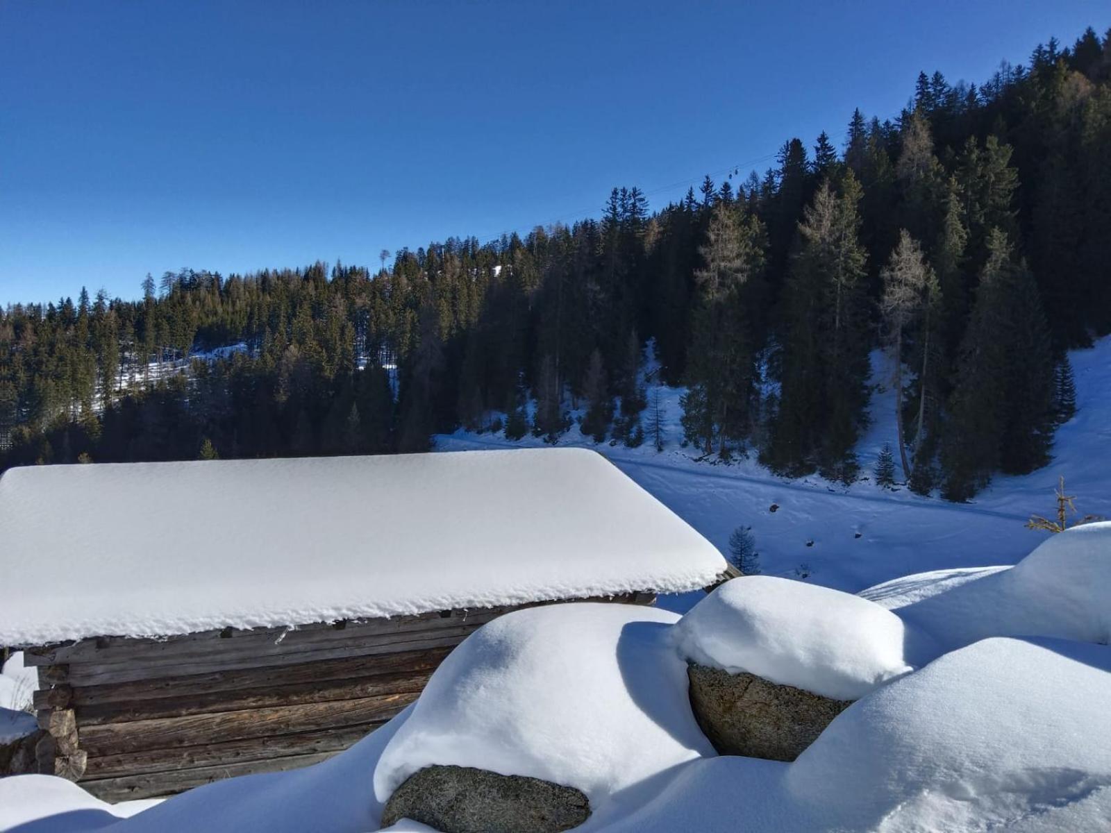 Ferienwohnung Goetzner Auszeit Innsbruck Exteriör bild