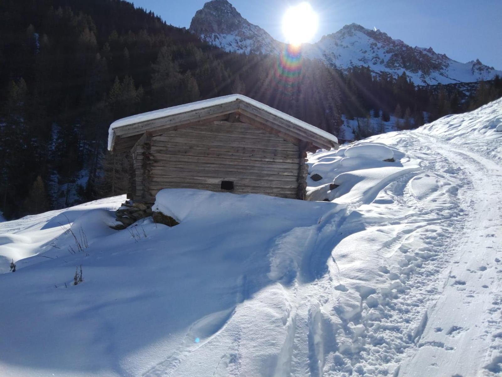 Ferienwohnung Goetzner Auszeit Innsbruck Exteriör bild