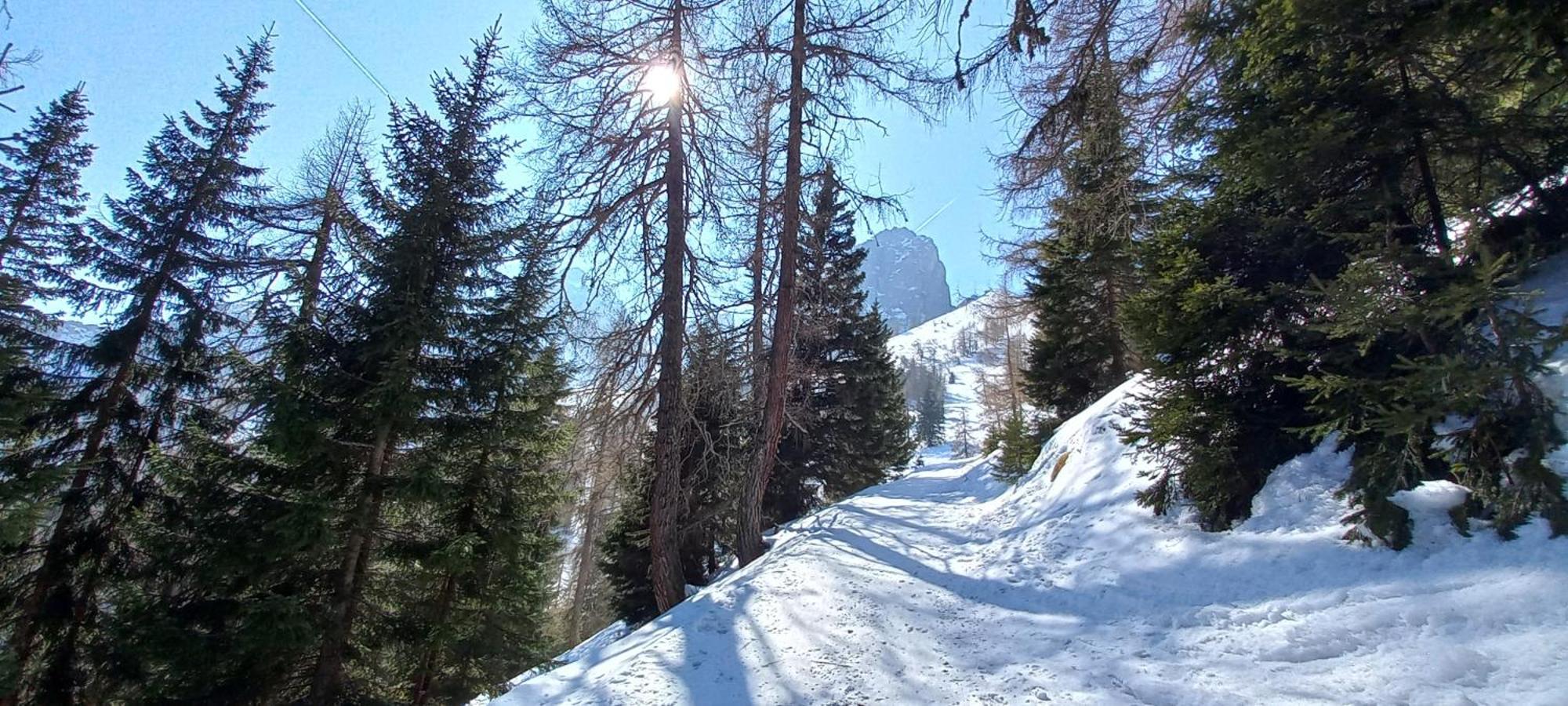 Ferienwohnung Goetzner Auszeit Innsbruck Exteriör bild