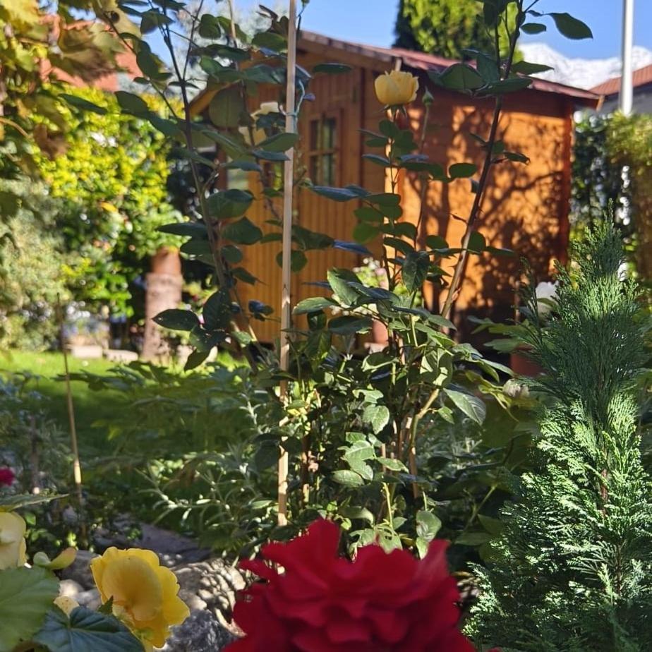 Ferienwohnung Goetzner Auszeit Innsbruck Exteriör bild